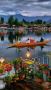 Kashmir Honeymoon Tour – Book with Experts