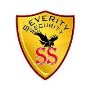 security company in dubai