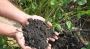 Optimizing Crop Yield: Essential Soil Health Strategies from