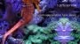 Commercial and Residential Aquarium Experts in New Jersey