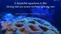 Experienced Aquarium Experts in Randolph, New Jersey
