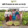 Powering Rural Growth with Agri Supply Chain Startups – Kisa
