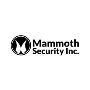 Mammoth Security Inc. New Haven Mammoth Security Inc. New Haven
