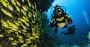 Book Andaman Nicobar Island Packages and Save Big Instantly!