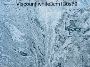 Quartz marble importers – Krish International