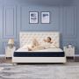 Best Mattress for Back Pain in India | Back Support Mattress