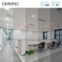 LED Ceiling Lights for Home and Business