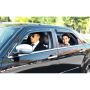 Experience Elite Travel With Black Car Service