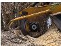 Stump Grinding Services – Startex Landscaping