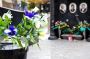 Comprehensive Cremation and Funeral Services in Miami