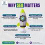 Why Does SEO Matter for Your Business