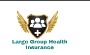 Large Group Health Insurance Services