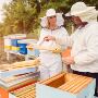 Stay Safe & Comfortable with Our Durable Beekeeper Suit – Ma