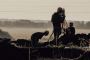 Lateral Surveying: Your Go-To Land Surveyor in Ipswich