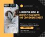 Expert Care for Your Clothes: Discover the Best Suits and Cl