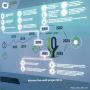 Lazulite’s Process Wall Visuals Ignite Saudi Arabia 