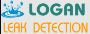 Identify Leaks And Keep Your Property Free From Damage