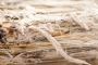Safe Demolition Starts with an Asbestos Survey in Hereford