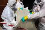 Asbestos Surveys Worcester: Ensuring Safety & Compliance
