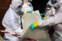 Expert Asbestos Removal Services in Malvern – Book Now
