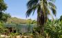 Organic fruit farm in the Dominican Republic Organic fruit farm in the Dominican Republic