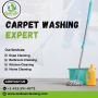 Best Carpet Cleaning Services Pittsburgh