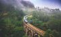 Cheap Holidays To Sri Lanka