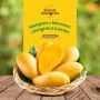 Buy Premium Quality Multani Mangoes In Pakistan At Licious M