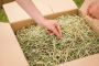 Hay Boxes in the UK with the Fresh Hay Grass Hay Boxes in the UK with the Fresh Hay Grass