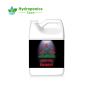 X Nutrients Bloom Spray 1 Gallon | Enhance Flowers & Fruits