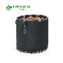 Grow1 Fabric Pot with Handles Black 2Gallon Growing Solution