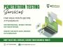 Best Penetration Testing Services In Bangalore