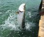 Discover the Magic of Key West Sandbar Charter