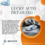 Revitalize Your Ride: Professional Auto Detailing Services i