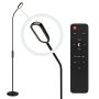 Flexible Gooseneck LED Floor Lamps