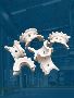 Trusted Ceramic Ultra Manufacturers Delivering Reliable Indu