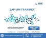 Best SAP MM Training In Marathahalli - MNP Technologies Best SAP MM Training In Marathahalli - MNP Technologies
