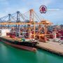 Best Sea Freight Company in Dubai – MZCO Shipping