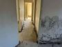 Expert Mould Remediation Sydney – Safe and Effective Solutio