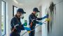Professional Mould Removal Sydney – Safe, Fast & Affordable