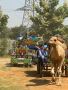 Top Adventure park in Gurgaon