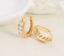 Best earrings, for smart women and for small tender children