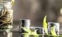 Trusted Consultant Services in Sydney for Your Business Succ
