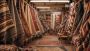 Trusted Carpet Supplier Near Me for Premium Designs