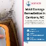 Mold Damage Remediation in Carrboro, NC|Cary, NC|Hillsboroug