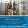 Mold Damage Remediation in Carrboro, Cary, Hillsborough, Mor