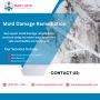 Mold Damage Remediation in Durham, Cary,Carrboro NC Mold Damage Remediation in Durham, Cary,Carrboro NC