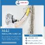 Mold damage remediation in Durham|Mold damage remediation  i
