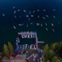 Boat Rental Lake Tahoe services | Sunnyside Mariana 