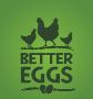 Free Range Eggs NZ Free Range Eggs NZ